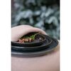 Набор тарелок Cosmic Kitchen, ?16 см, 2 шт., Liberty Jones, изображение 6