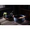 Салатник Cosmic Kitchen, ?16 см, Liberty Jones, изображение 41