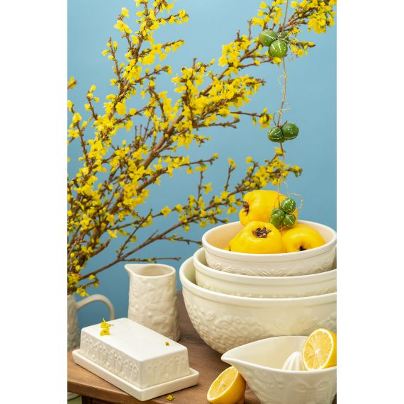 Масленка Birds of Paradise, кремовая, Liberty Jones, изображение 9