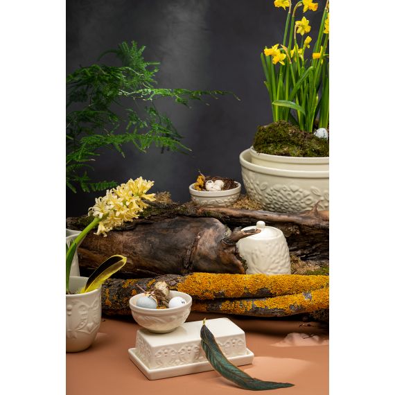 Масленка Birds of Paradise, кремовая, Liberty Jones, изображение 3